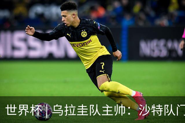 世界杯 | 乌拉圭队主帅：沙特队门将太出色