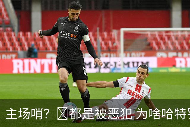 主场哨？🧠都是被恶犯 为啥哈特罚一个 文班罚两个？